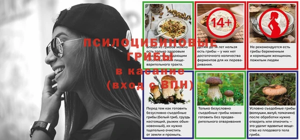 МДПВ Лихославль
