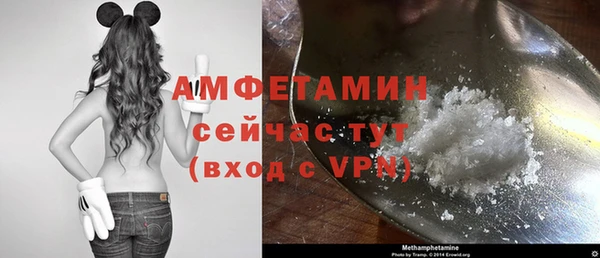 дживик Липки