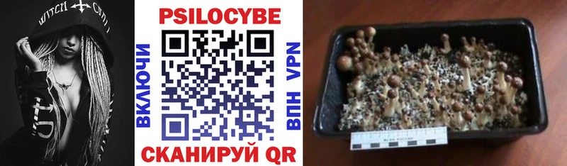 Галлюциногенные грибы мицелий  Новое Девяткино 